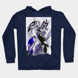 Woodpeckers Hoodie